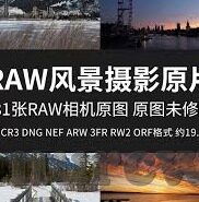 麻豆视频传媒app下-麻豆视频传媒App的多元化内容与启示